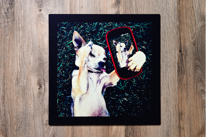 Instagram Aluminium Prints